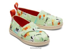 Toms Kids Dogs Alpargata Green Shoes Z480RF513